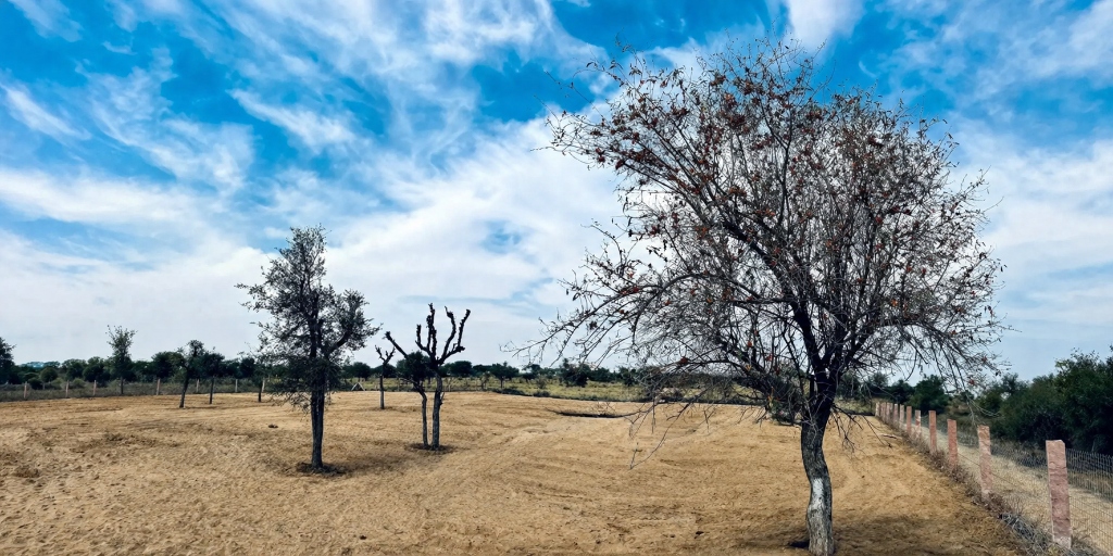 The sprawling heritage grounds of The Chauhans Hideaway
